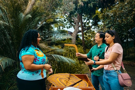 Private Aboriginal Bush Tucker Tour - Botanic Gardens of Sydney - Image credit Destination NSW