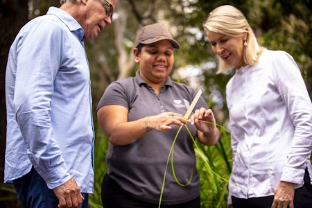 Private Aboriginal Bush Tucker Tour - Botanic Gardens of Sydney - Image credit Tourism Australia
