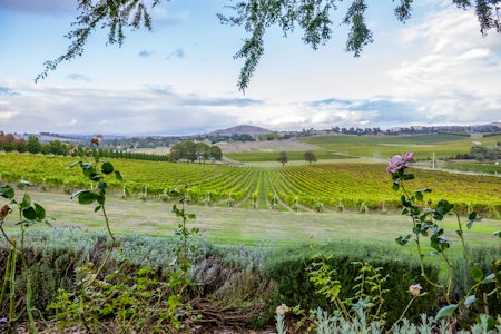 De Bortoli Wines - Cheese & Wine Tour - Image credit Tourism Australia