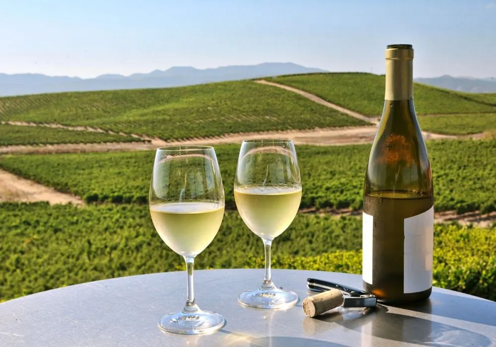 Wine tasting in California Wine Country