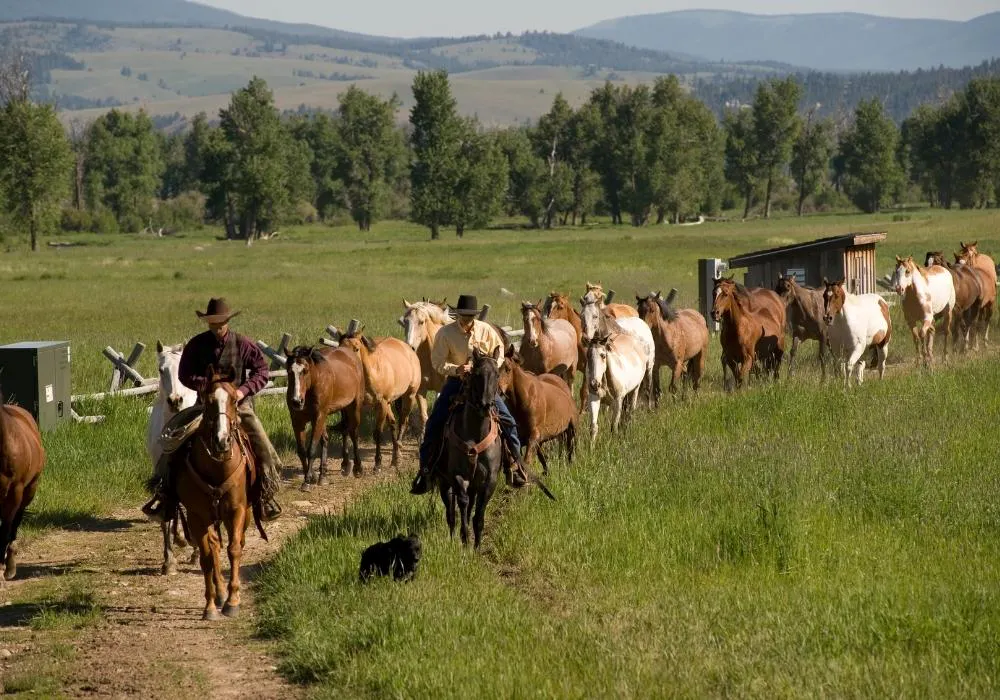 Horse riding at The Ranch at Rock Creek