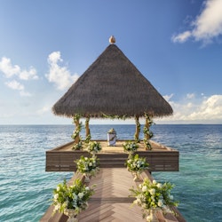 Special Occasion & Bucket List Holidays