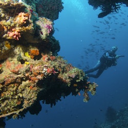 Luxury Diving Holidays