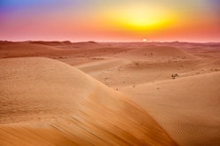 Dubai Sunset Dinner & Desert Safari 