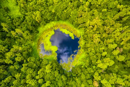 Aerial view of Trou Aux Cerf Volcano Curipipe, Mauritius