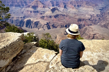 Grand Canyon South Rim from Scottsdale with Optional Helicopter Tour