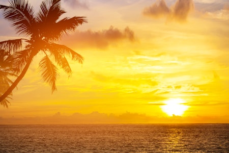 Barbados Private Epicurean Sunset Sail