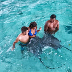 Bora Bora Eco Shark & Ray Snorkeling Safari