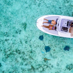 Bora Bora Eco Shark & Ray Snorkeling Safari