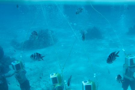 Bora Bora Aquasafari Helmet Dive