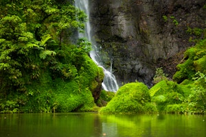 Tahiti 4WD Mountain Safari image 1