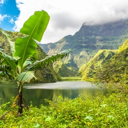 Tahiti 4WD Mountain Safari