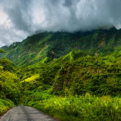 Tahiti 4WD Mountain Safari