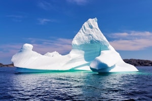 Twillingate Iceberg Tour image 1