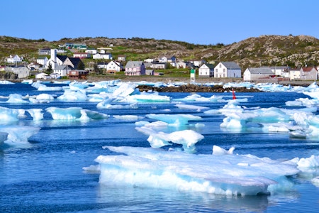 Twillingate Iceberg Tours
