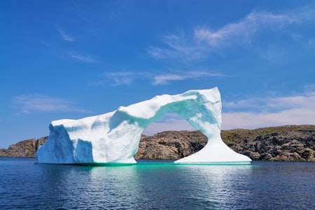 Twillingate Iceberg Tours