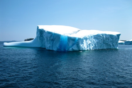Twillingate Iceberg Tours