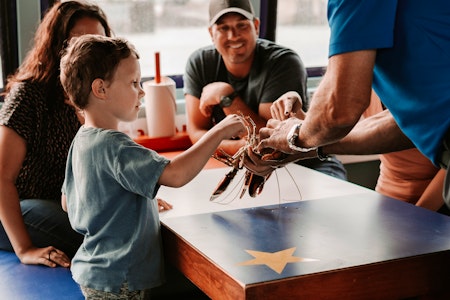 Shediac Bay Cruises Lobster Tour