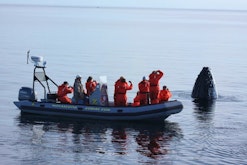 Brier Island Whale & Seabird Cruise