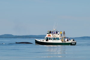 St Andrews by the Sea Whale Watching and Wildlife Adventure image 1