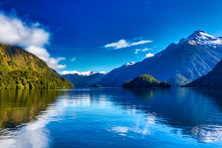 Doubtful Sound Wilderness Cruise