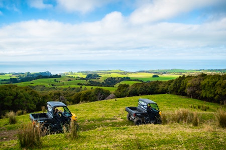 The Matai Peak Experience - Farm Tour Buggies