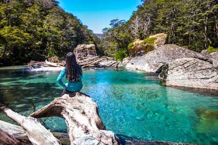 Routeburn Track Guided Walk