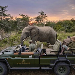 Luxury Safari & Wildlife Holidays
