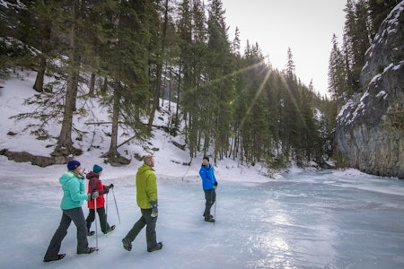 Grotto Canyon Icewalk 2