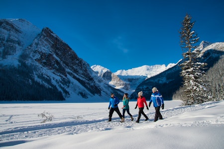 Discover Lake Louise & Snowshoeing 1