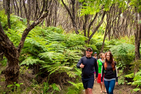 The Best Abel Tasman Day Trip - Abel Tasman Charters
