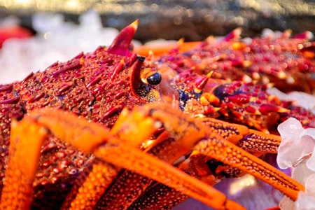 Full Day Fine Flavours Tour - Exceptional Kangaroo Island