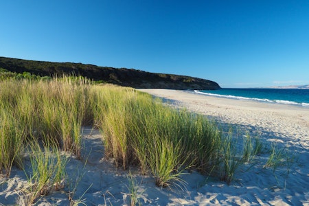 Antechamber Bay, eastern Kangaroo Island, South Australia