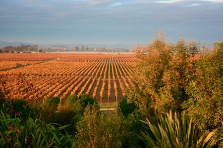 Panoramic Country with a Taste of Wine Tour