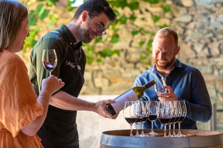 Full Day Uncork the Barossa Valley - Small Batch Wine Tours
