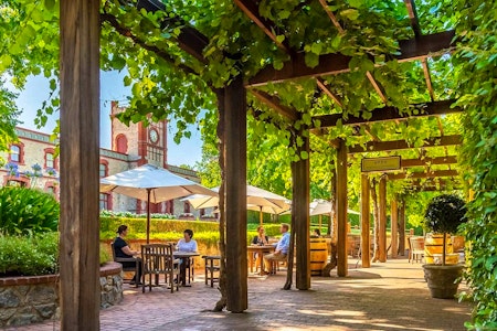 Full Day Uncork the Barossa Valley - Small Batch Wine Tours
