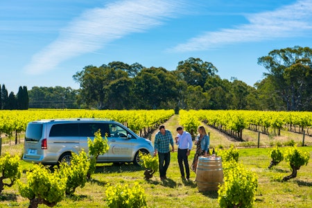 Full Day Private The Pinnacle of the Barossa - Small Batch Wine Tours