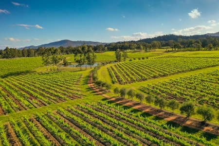 Brokenwood Wines Soil to Cellar Experience