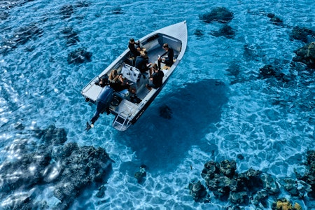 Moorea Coral Gardeners Experience