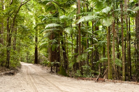 Fraser Island by Air and 4WD