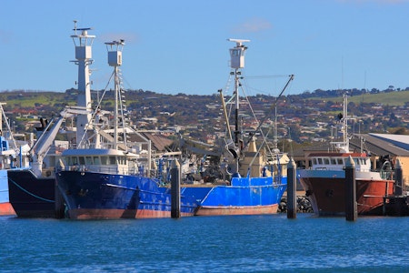 Exceptional Port Lincoln, Seafood and Wildlife Tour