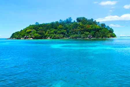 Reef Safari Adventure | Seychelles