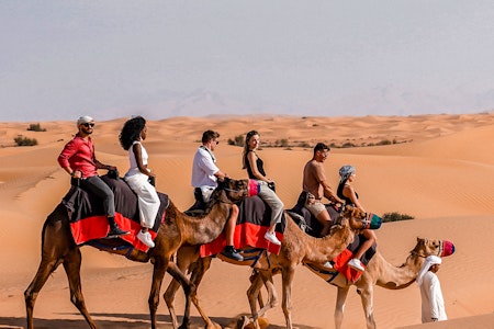 Morning Desert Adventure | Camel Ride