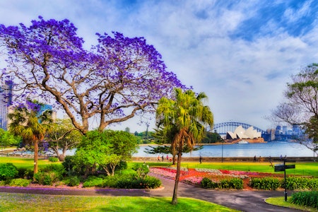 Sydney Royal Botanic Gardens