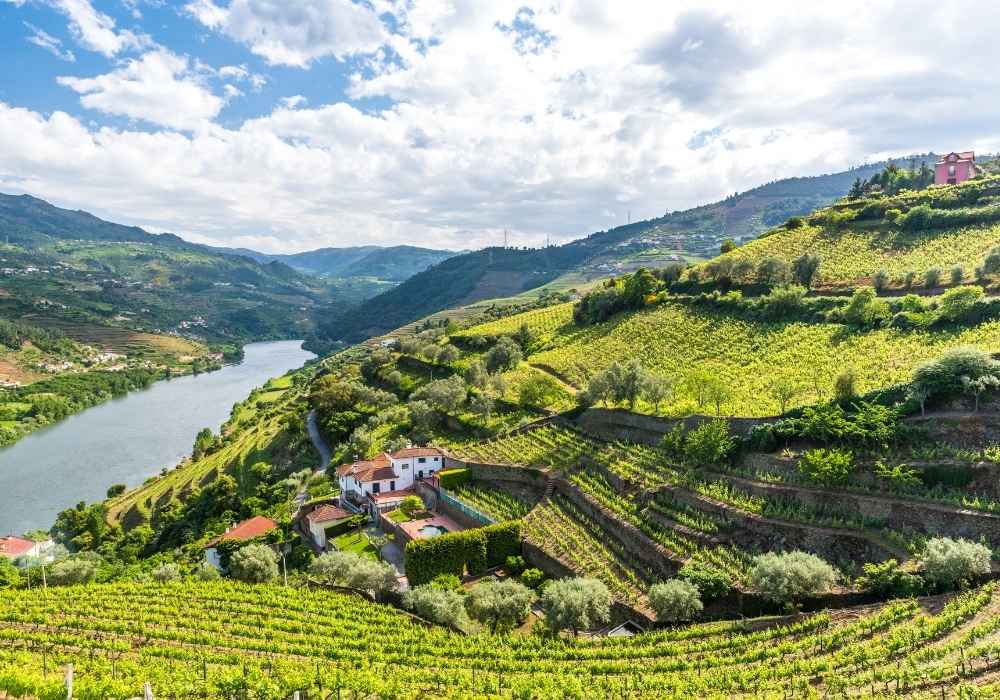 Douro Valley river view