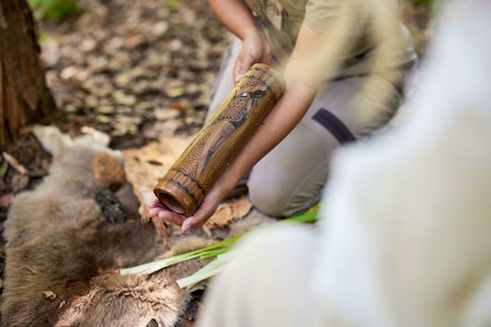 Morning Authentic Aboriginal Experience