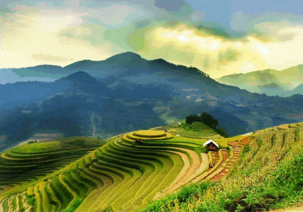 Vietnam gif