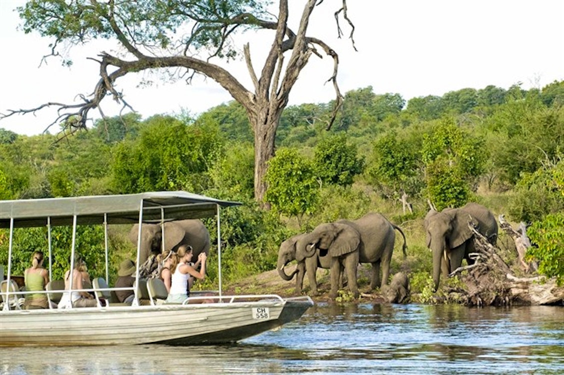 Chobe National Park