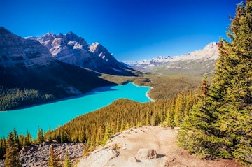 Lake Louise - Jasper (129 miles)