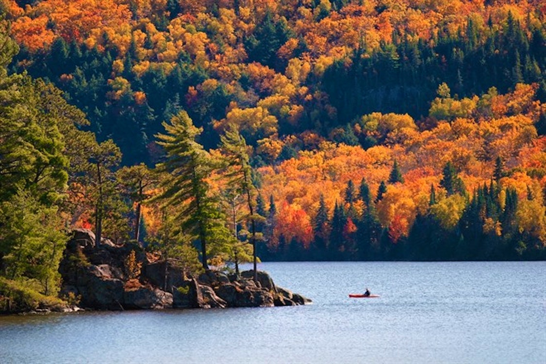 Algonquin Provincial Park